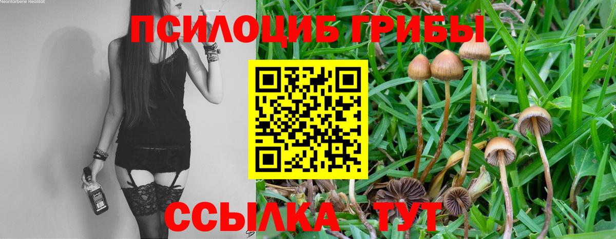 Псилоцибиновые грибы ЛСД  Вход с VPN  Боровичи  Псилоцибиновые грибы Psilocybine cubensis 